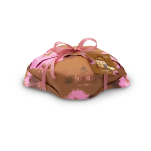 Colomba CioccoGocce